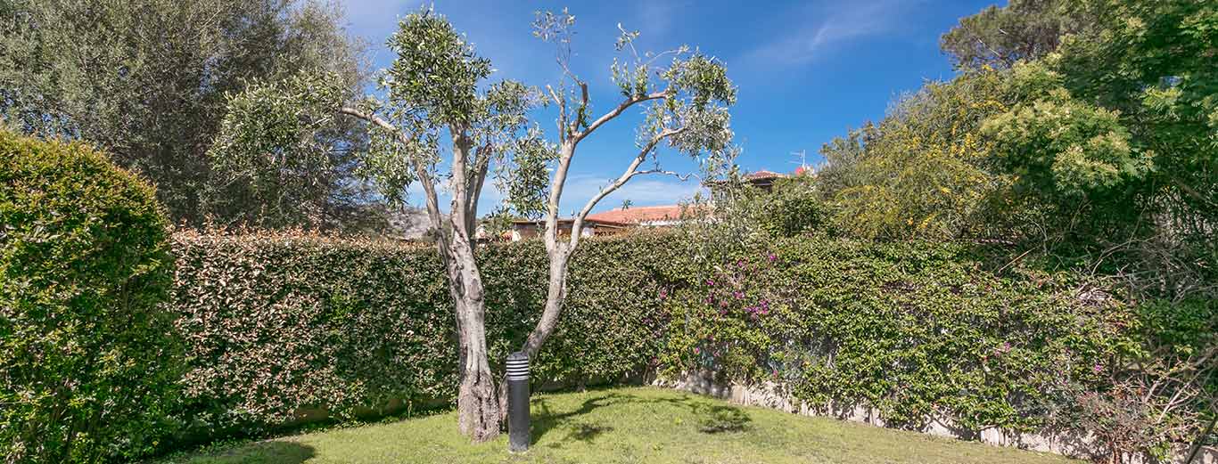 Apartments with sea view in Sardinia